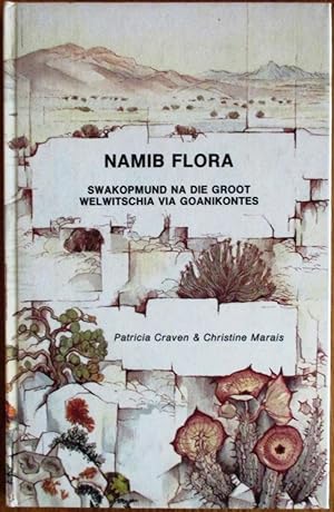 Namib Flora Swakopmund Na Die Groot Welwitchia Via Goanikontes