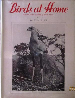 Birds at Home: Camera Studies of Birds of South Africa