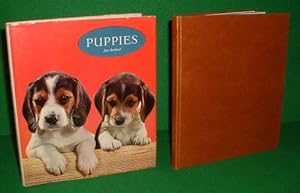 PUPPIES IN COLOUR , Batsford Colour Books Series