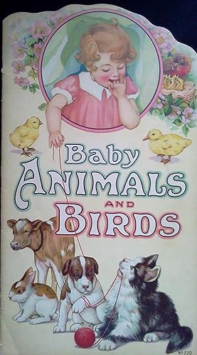 Baby Animals and Birds
