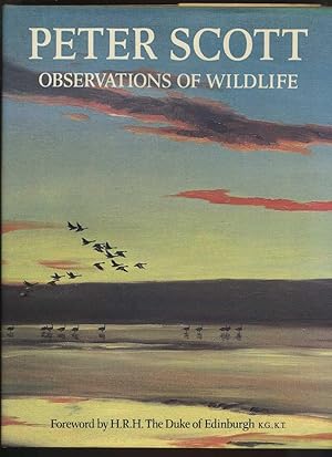 Observations of Wildlife