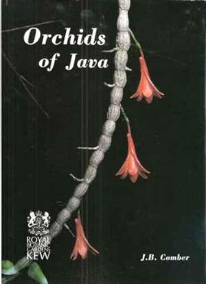 Orchids of Java