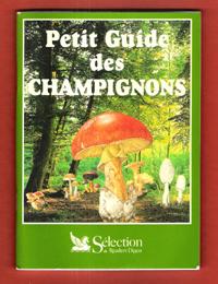 Le Petit Guide Des Champignons