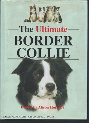 The Ultimate Border Collie