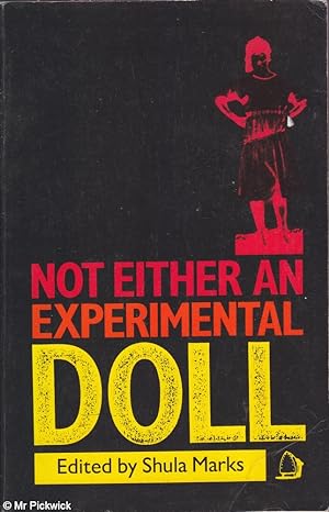Not either an experimental doll: The separate worlds of three South African women