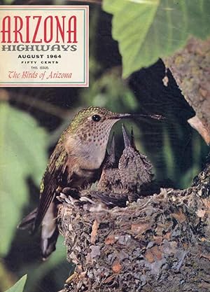 ARIZONA HIGHWAYS : BIRDS OF ARIZONA, August 1964, Volume XL (40), No 8
