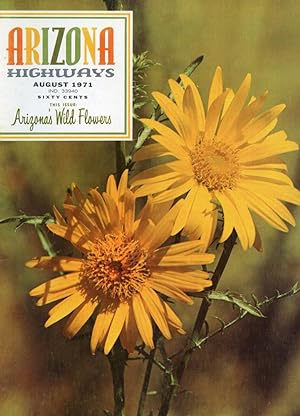 ARIZONA HIGHWAYS : AUGUST WILDFLOWERS : August 1971, Volume XLVII (47), No 8