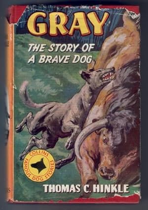 Gray, the story of a brave dog