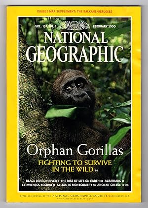 The National Geographic Magazine - February, 2000. Gorillas; Black Dragon River; Rise of Life;Alb...