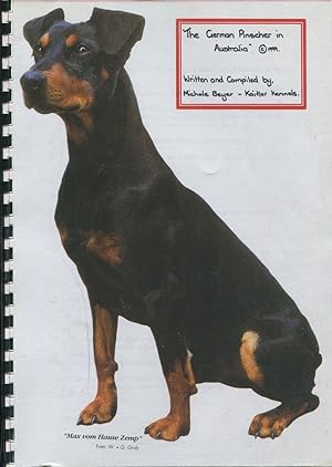 The German Pinscher in Australia.