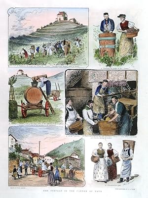'THE VINTAGE IN THE CANTON OF VAUD'. Six illustrations of wine-growing and -producing in Switzerl...