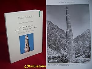 Le minaret ghouride de Jam, un chef d'oeuvre du XIIe siècle