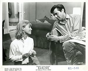 Darling (Collection of 8 photographs from the 1965 film)