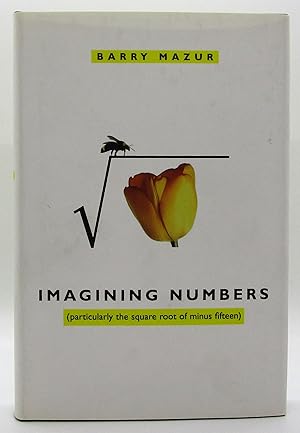 Imagining Numbers
