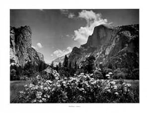 For Purple Mountains Majesty: A Pictorial Portfolio by Ansel Adams. Yosemite National Park, Calif...