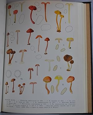 Flore Iconographique des Champignons du Congo. Fascicules 9-17