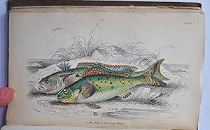 The Natural History of British Fishes, Vols I & II, The Naturalist's Library, Ichthyology Vols IV...