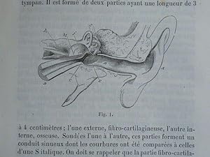 Traité pratique des maladies de l'oreille ou leçons cliniques sur les affections de cet organe