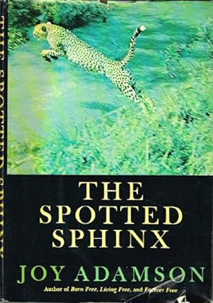 The Spotted Sphinx