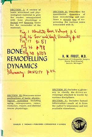 Bone Remodelling Dynamics