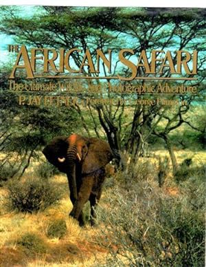The African Safari