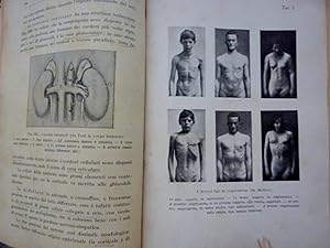 "LUIGI OLIVIERI Ass. Ord. dell'Istituto Anatomico di Napoli - ELEMENTI DI ANATOMIA E FISIOLOGIA P...