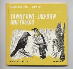Tawny Owl, Jackdaw and Cuckoo (Stand and Stare; 10)