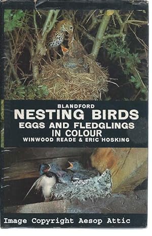 NESTING BIRDS Eggs and Fldeglings in Colour