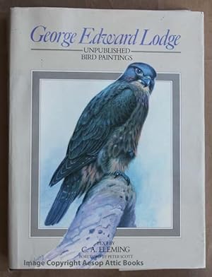 GEORGE EDWARD LODGE : Unpublished Bird Paintings