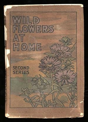 Wild Flowers at Home. Second Series (Gowans's Nature Books, No. 3)