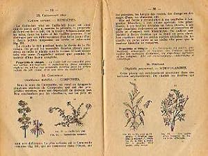 Les Plantes Médicinales de Bretagne. Avec 67 figures.