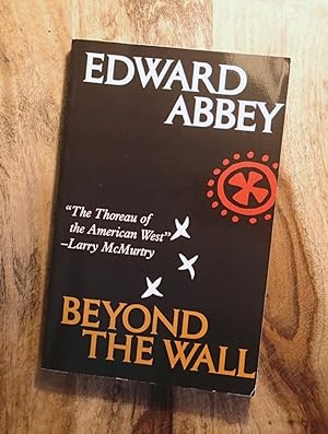 BEYOND THE WALL : Essays from the Outside