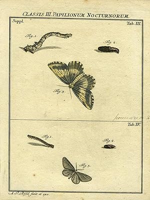 Classis III Papilionum Nocturnorum