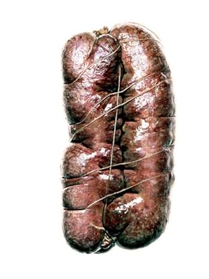 Salami #6 (Signed Limited Edition Print)