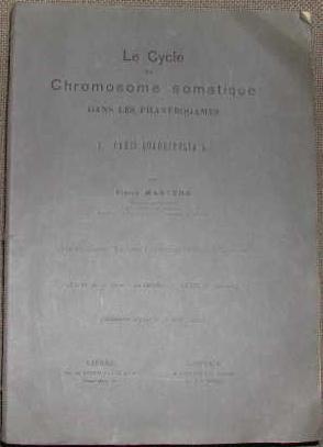 Le cycle du chromosome somatique dans les phanérogames. I Paris Quadrifolia L.