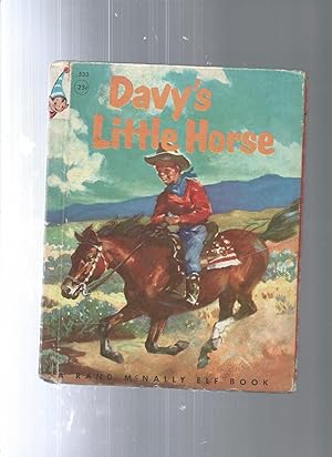 DAVY'S LITTLE HORSE