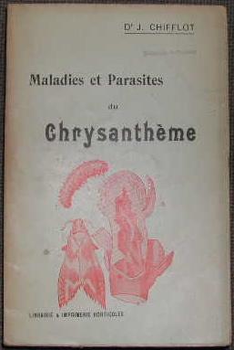 Maladies et parasites du chrysanthème.