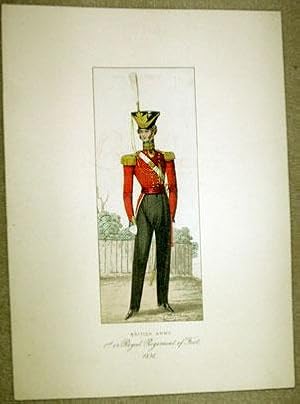 British Army 1st or Regiment of Foot print