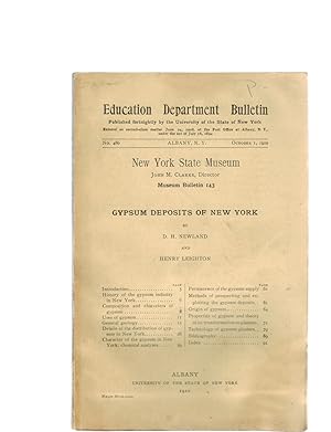 GYPSUM DEPOSITS OF NEW YORK