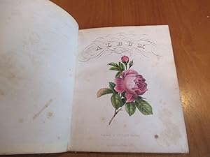 Album [An Illustrated Album, Here Used As A Sentiment Album For Sarah W. Ennis Giddings, Probably...