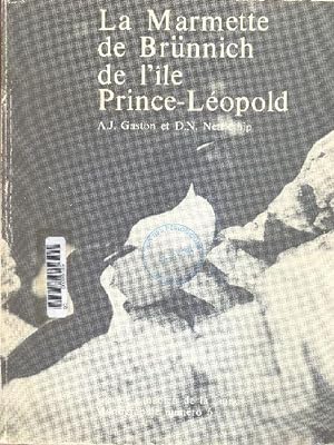 La marmette de Brünnich de l'Île Prince-Léopold.