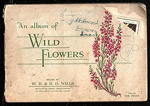An Album of Wild Flowers