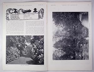 Original Issue of Country Life Magazine Dated July 29th 1899, with a Main Feature on West Dean Pa...