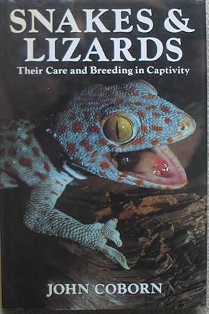 Snakes and Lizards - Their Care and Breeding in Captivity