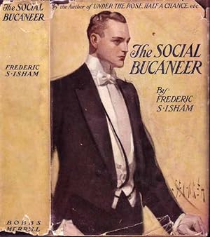The Social Bucaneer (BUSINESS NOVEL)