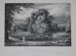 A Fine Original Antique Lithograph By G. F. Prosser Illustrating Betchworth (Beechworth) Castle, ...