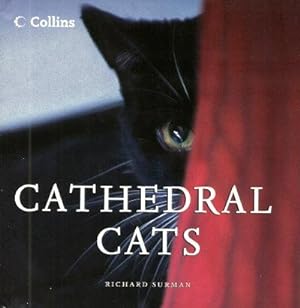 CATHEDRAL CATS