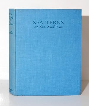 Sea Terns or Sea Swallows. Their habits, language, arrival and departure.