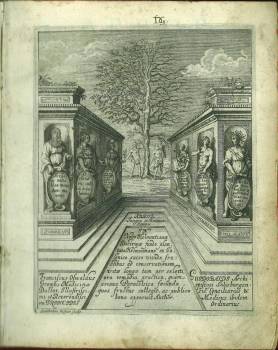 Arbor Integra et Ruinosa Hominis, Id est: Tractatus Medicus Theorico Practicus in tres libros dev...
