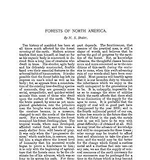 Forests Of North America